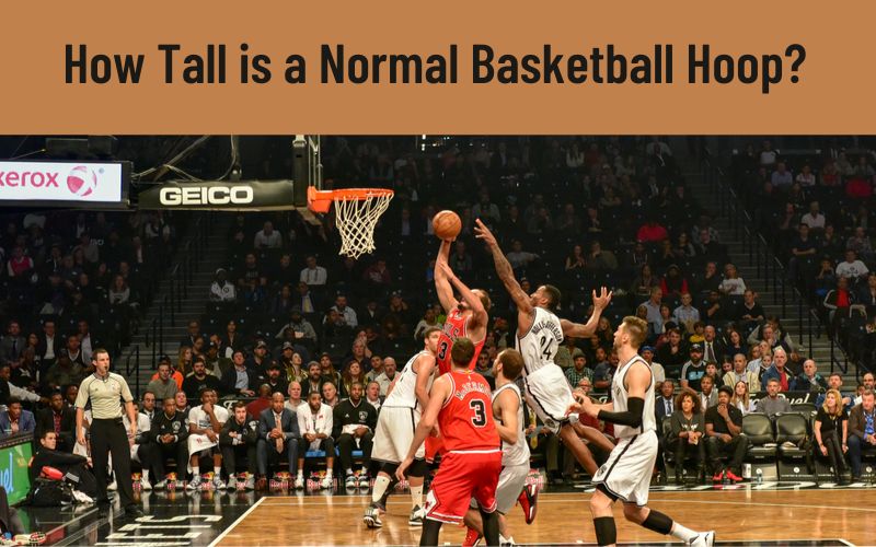 How Tall is a Normal Basketball Hoop