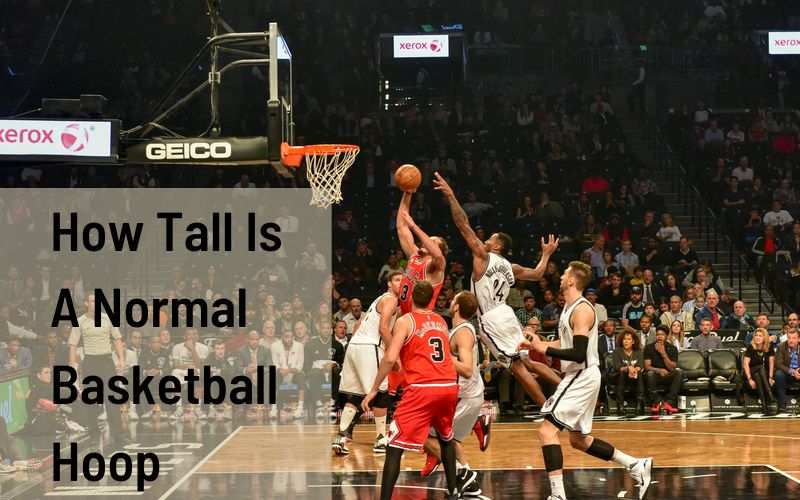 Tall Is A Normal Basketball Hoop