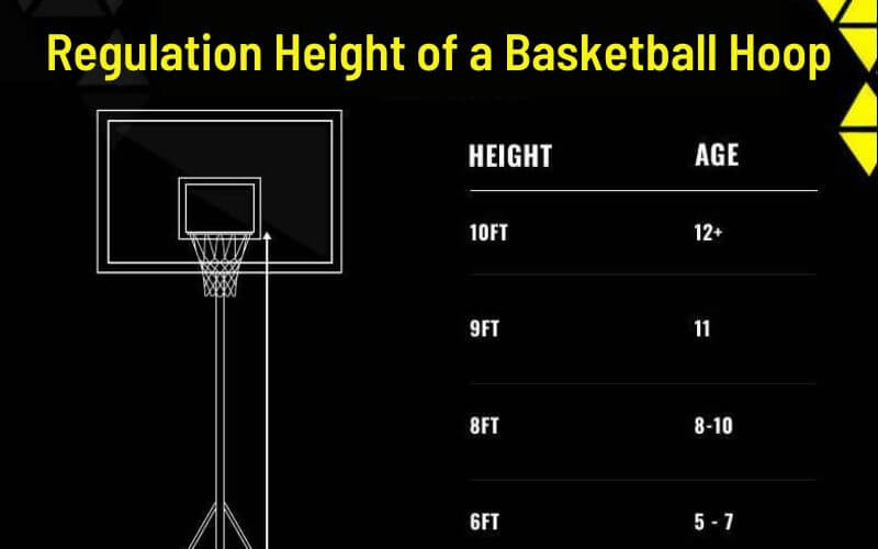 Regulation Height of a Basketball Hoop